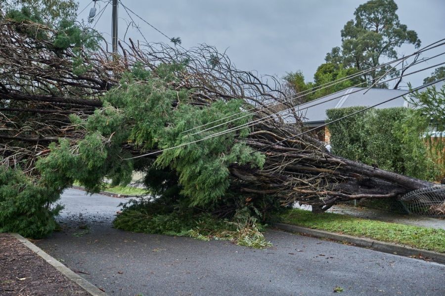 Real costs of extreme weather