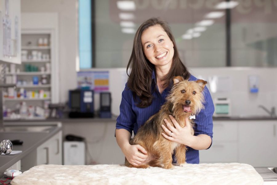Pet owners forgo insurance