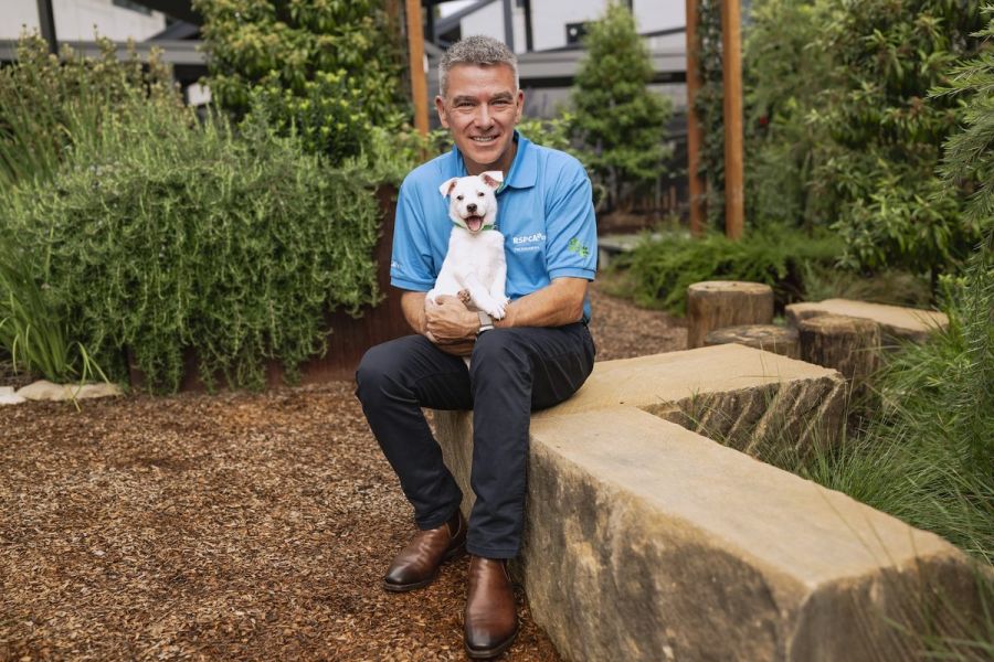 Payment solution for pet insurance